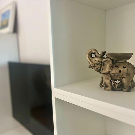 Apartmán Cipariu Corner Kluž Exteriér fotografie